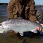 Echoes from a river, sea trout, rio grande, Argentina fishing, Wild Fishing