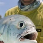 Angus Woolhouse, echoes from a river, echoes, fishing writing, fishing blog, wild fishing , fishing in Cuba Wild fishing, Tarpon, Bonefish, Snapper, Permit, Wildfishing