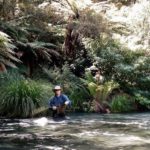 Angus Woolhouse, echoes from a river, echoes, fishing writing, fishing blog, wild fishing , fishing in New Zealand, North Island, Wild fishing, brown trout, rainbow trout, fly fishing