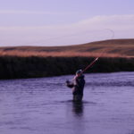Echoes from a river, sea trout, rio grande, Argentina fishing