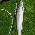 Spey, Salmon, Scottish fishing